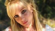 Britney Spears sofre aborto espontâneo: "Perdemos nosso bebê milagroso" - Reprodução/Instagram