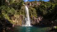 Mato Grosso é o destino ideal para explorar a natureza (Imagem: Luciano Queiroz | Shutterstock)