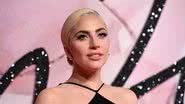 Lady Gaga revela que quer viver "uma vida de solidão" - Stuart C. Wilson/Getty Images