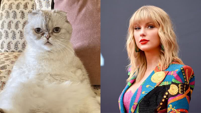 Milionária! Gata de Taylor Swift tem patrimônio avaliado em R$ 522 milhões - Getty Images