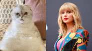 Milionária! Gata de Taylor Swift tem patrimônio avaliado em R$ 522 milhões - Getty Images