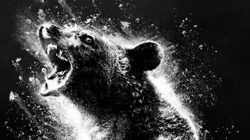 O Urso do Pó Branco, novo filme de Elizabeth Banks, ganha trailer eletrizante; assista - Divulgação/Universal Pictures