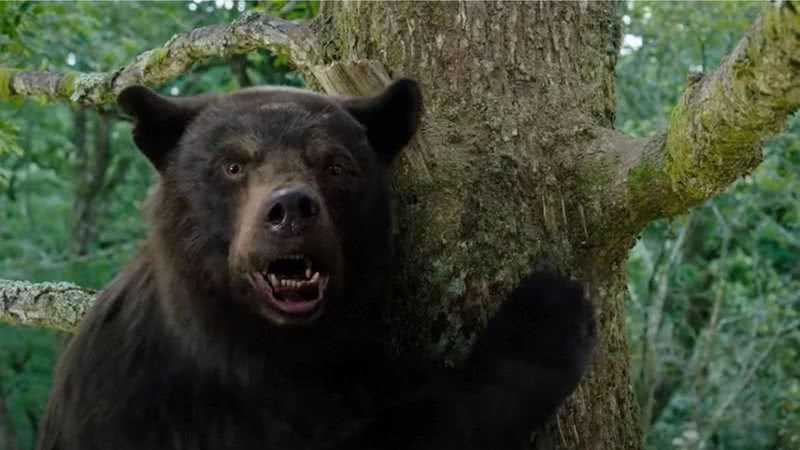 O Urso do Pó Branco: a opinião da crítica sobre o novo filme de Elizabeth Banks - Divulgação/Universal Pictures