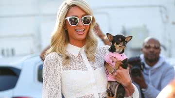 Paris Hilton contratou sete médiuns de animais para encontrar cão - Reprodução
