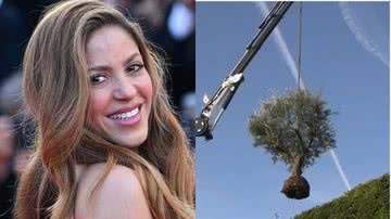 Shakira leva árvore da casa que vivia com Gerard Piqué - Gareth Cattermole/Getty Images - Reprodução/Twitter