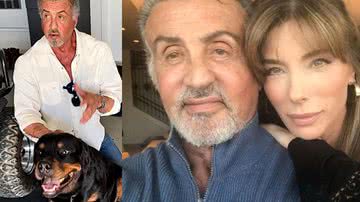 Sylvester Stallone: como um cachorro acabou com o seu casamento de 26 anos? - Reprodução/Instagram