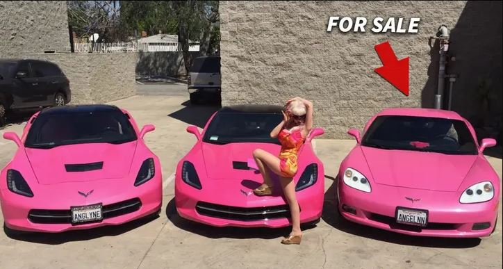 angelyne-esta-vendendo-iconico-corvette-rosa-para-finalizar-seu-filme-biografico
