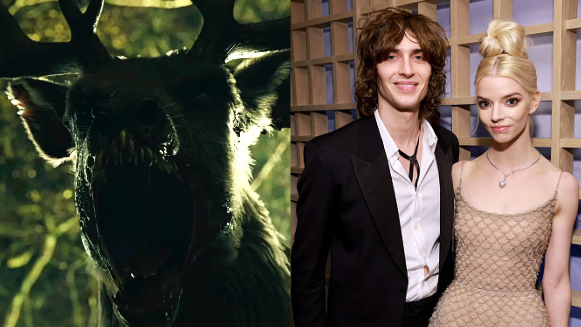 Boletim HFTV: Bambi assassino, casamento de Anya Taylor-Joy e mais