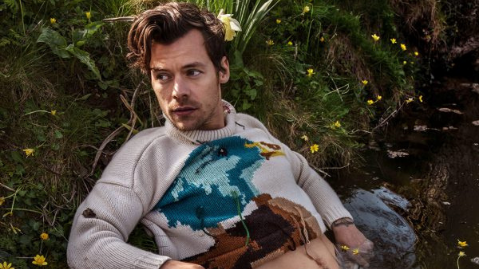 Harry Styles tinha relação difícil com sexualidade durante One
