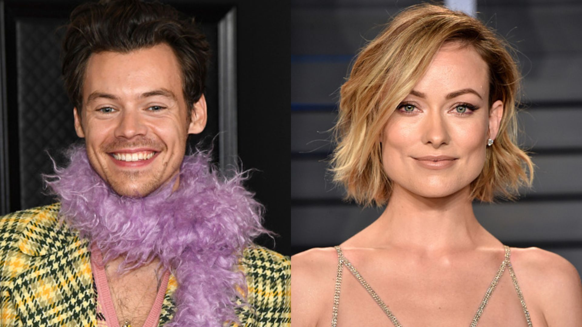 O romance de Harry Styles e Olivia Wilde acabou?