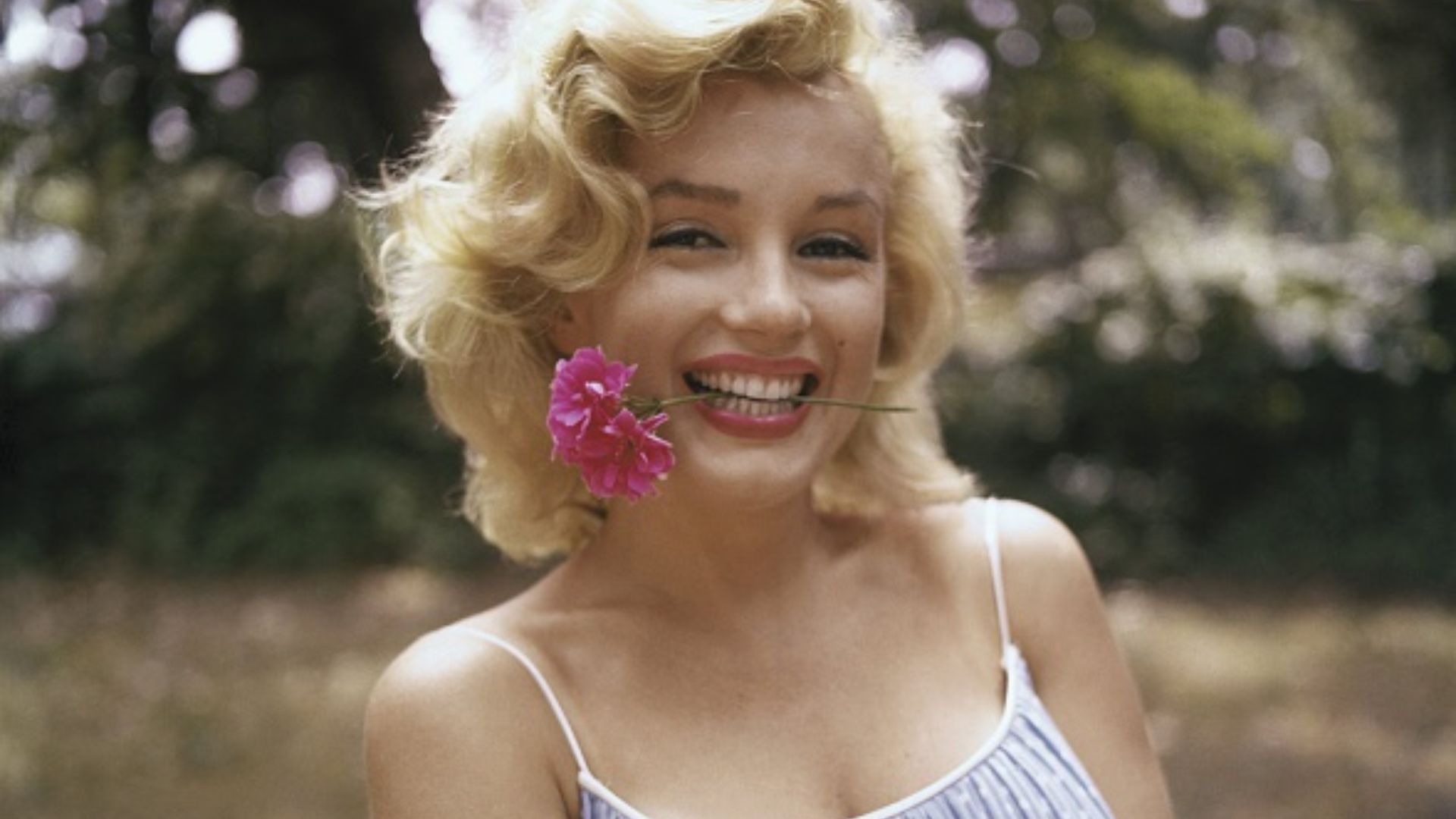 Objetos pessoais de Marilyn Monroe vão a leilão em dezembro