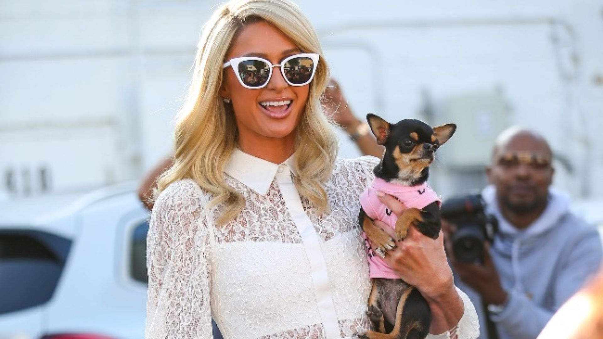 Paris Hilton contratou sete médiuns de animais para encontrar cão