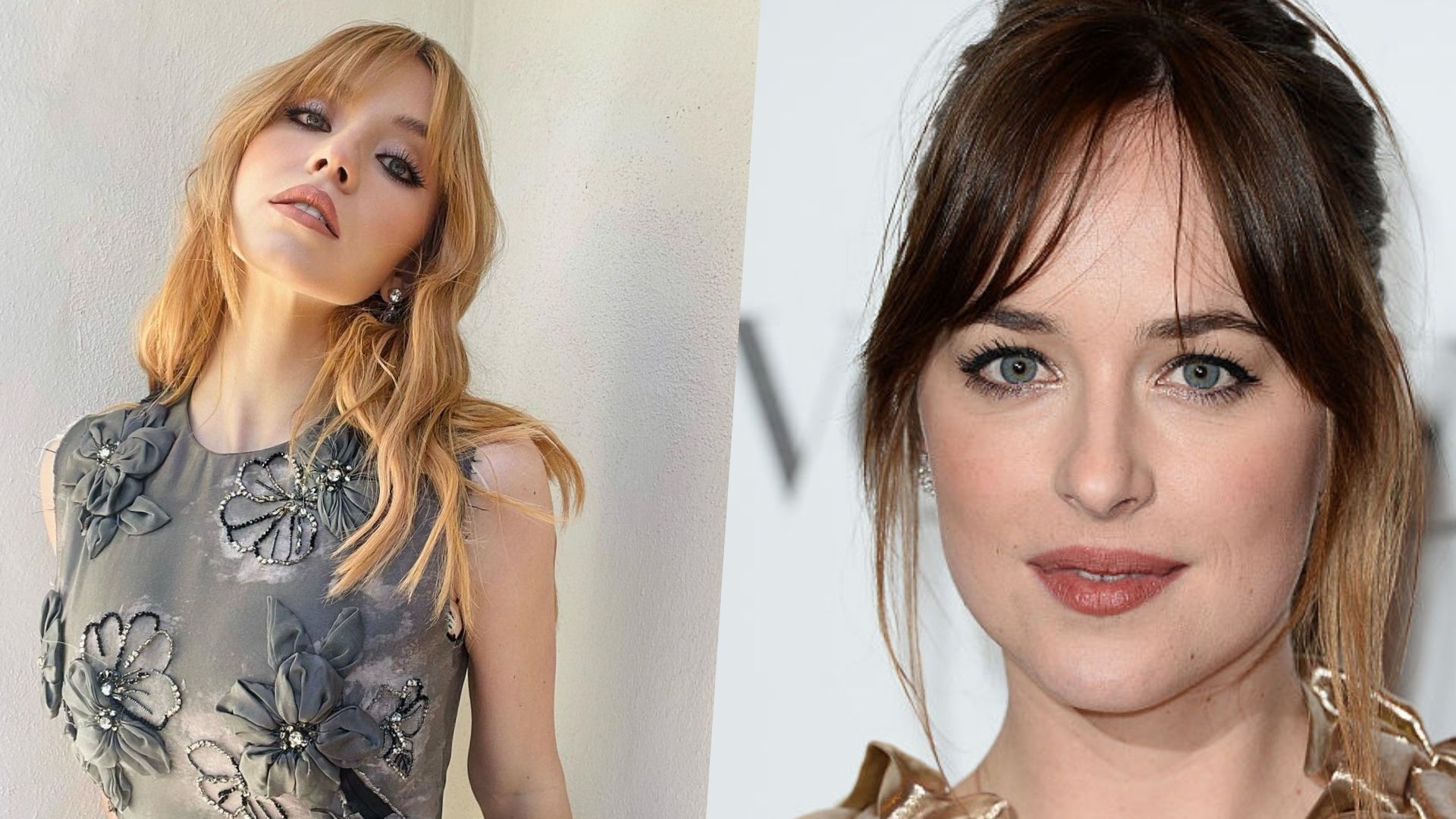 Sydney Sweeney e Dakota Johnson estrelam novo filme da Marvel